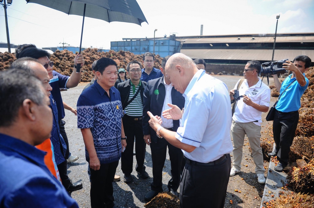 ศึกษาดูงานกระบวนการสกัดน้ำมันปาล์ม