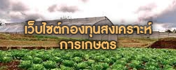 กองทุนสงเคราะห์เกษตร