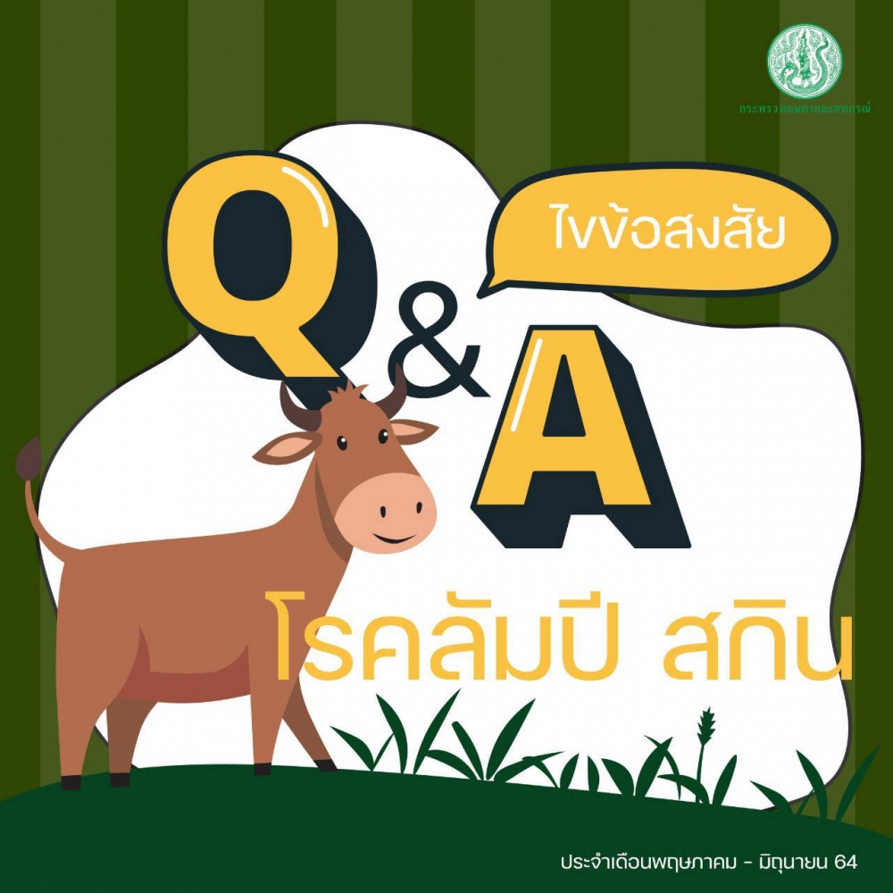 คำถามที่พบบ่อยประจำเดือนมิถุนายน