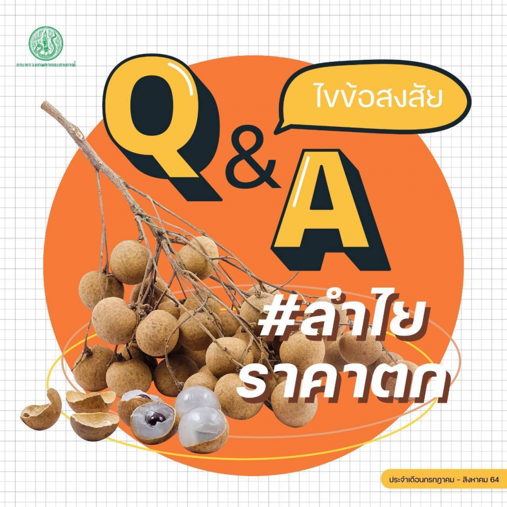 คำถามที่พบบ่อยประจำเดือนสิงหาคม 2564 เรื่อง ลำไยราคาตก
