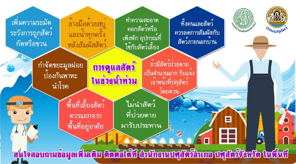 การดูแลสัตว์ในช่วยน้ำท่วม