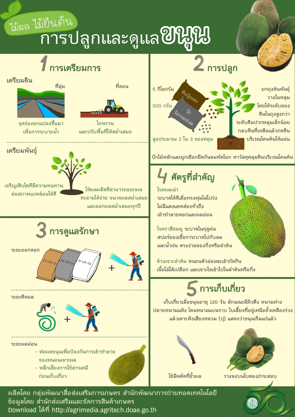 การปลูกและดูแลขนุน