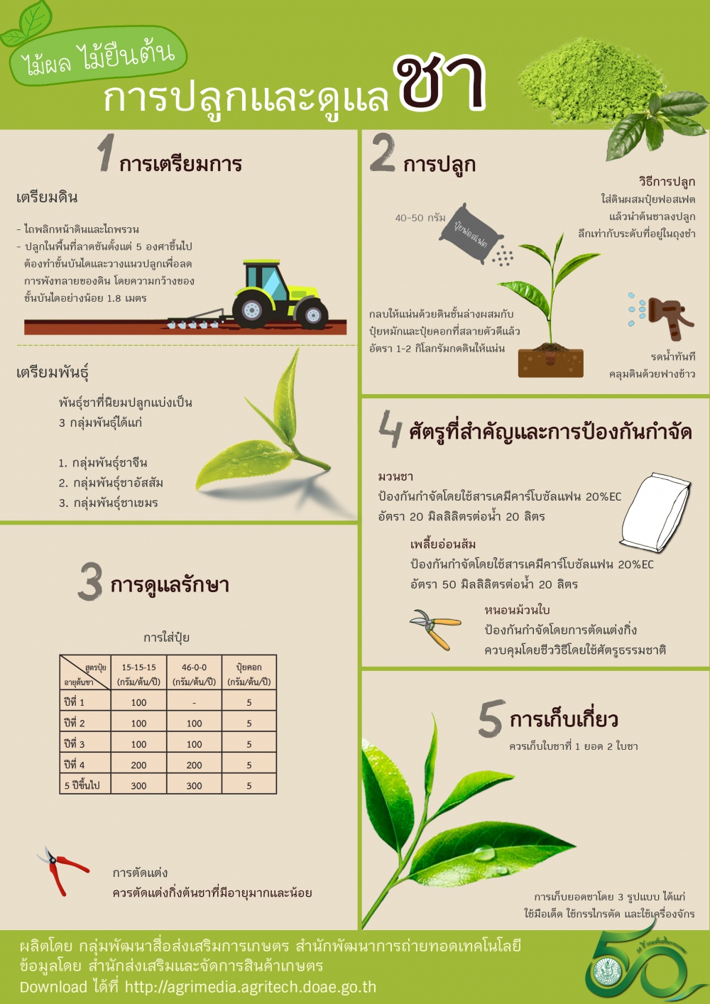 การปลูกและดูแลชา