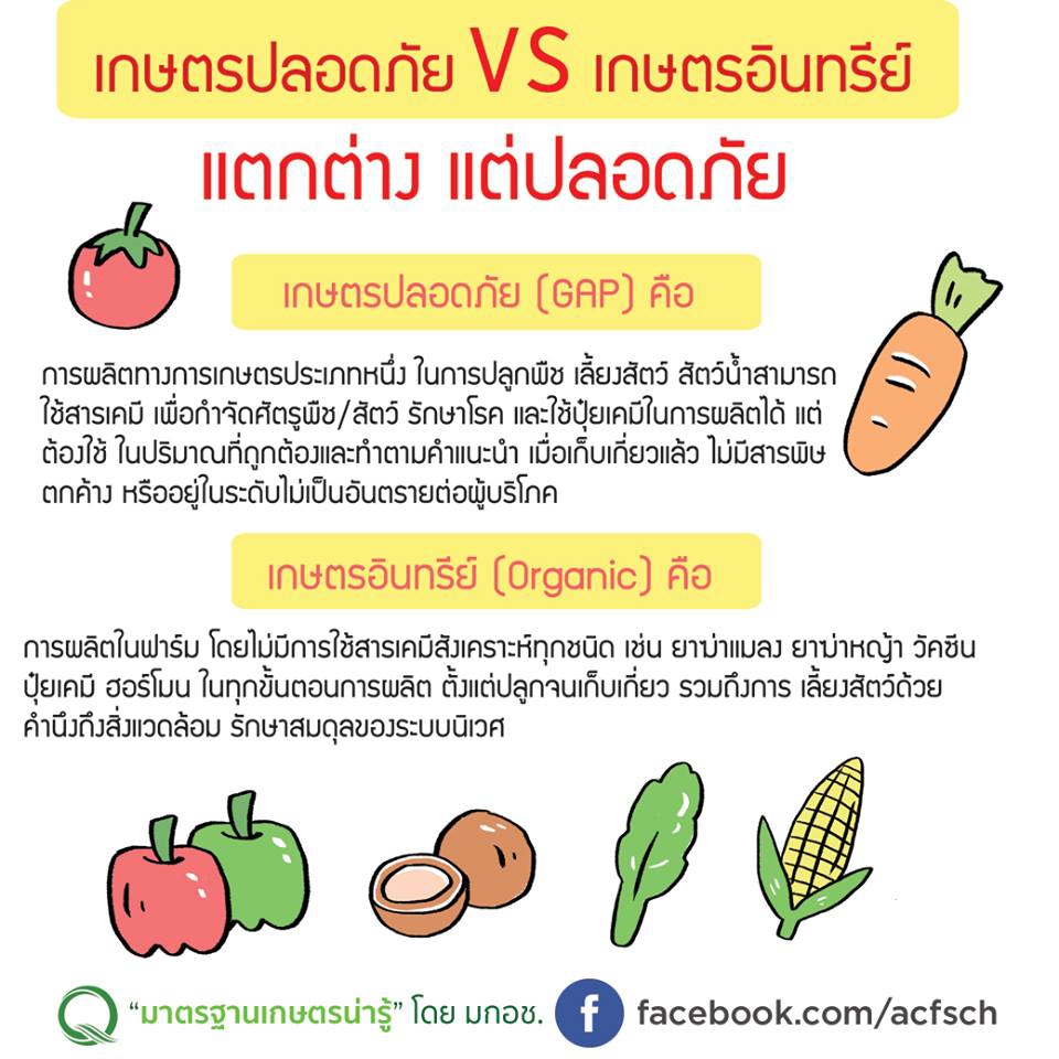 เกษตรปลอดภัย vs เกษตรอินทรีย์ แตกต่าง แต่ปลอดภัย