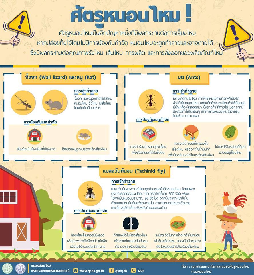 ศัตรูหนอนไหม!