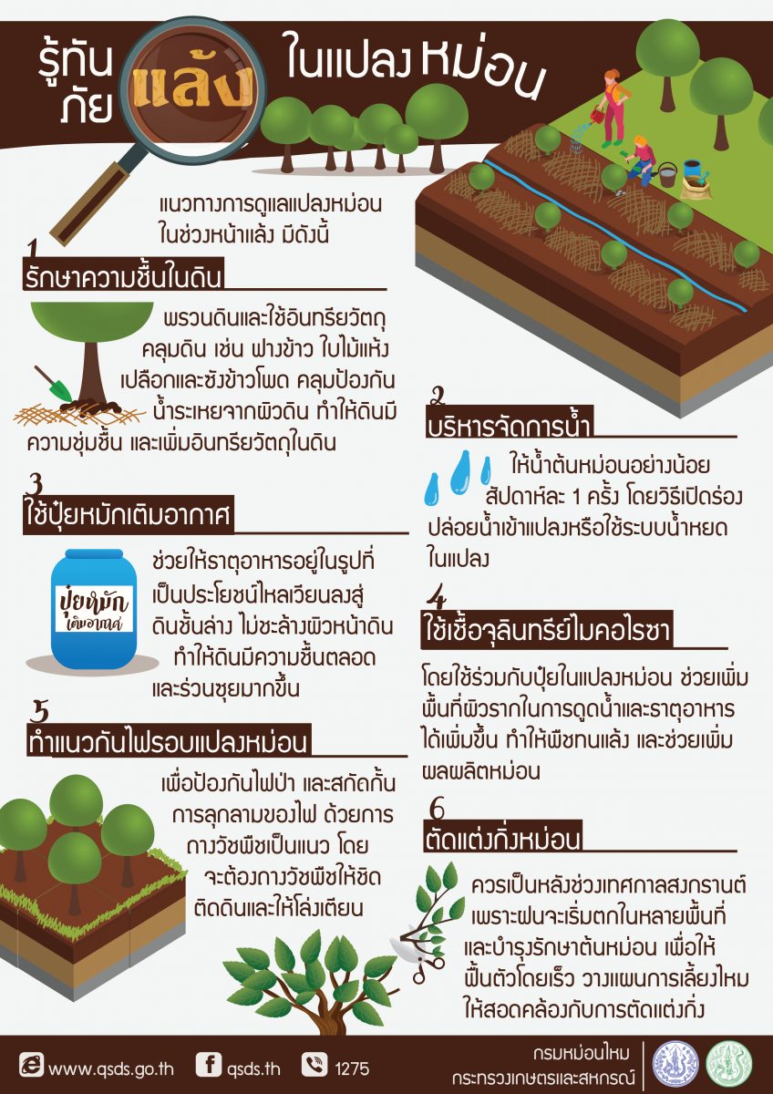 รู้ทันภัยแล้งในแปลงหม่อน