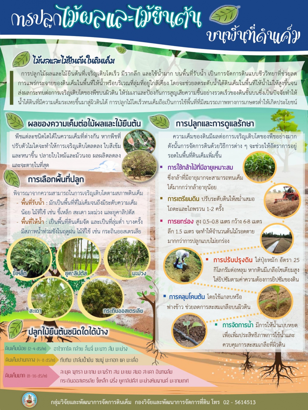 การปลูกไม้ผล และ ไม้ยืนต้นบนพื้นที่ดินเค็ม