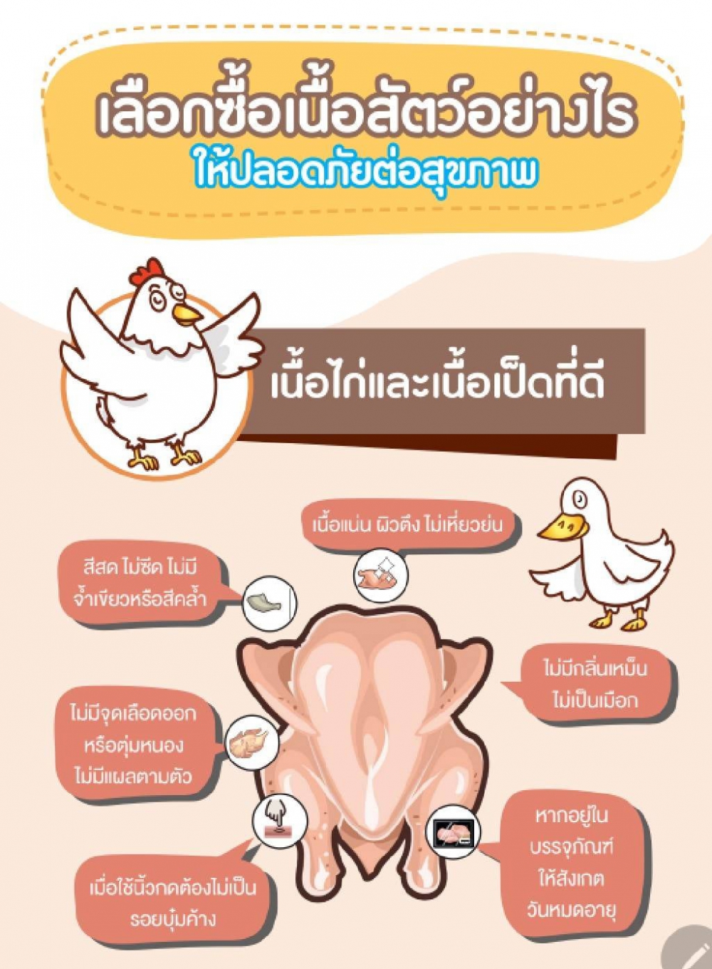 เลือกซื้อเนื้อสัตว์อย่างไรให้ปลอดภัยต่อสุขภาพ