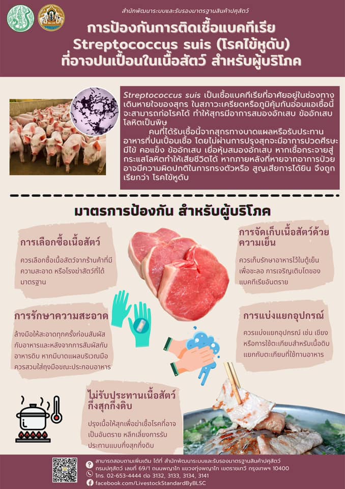 เรียนรู้…ป้องกัน streptococcus suis (โรคไข้หูดับ)