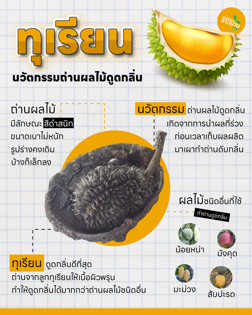 ทุเรียนนวัตกรรมถ่านผลไม้ดูดกลิ่น