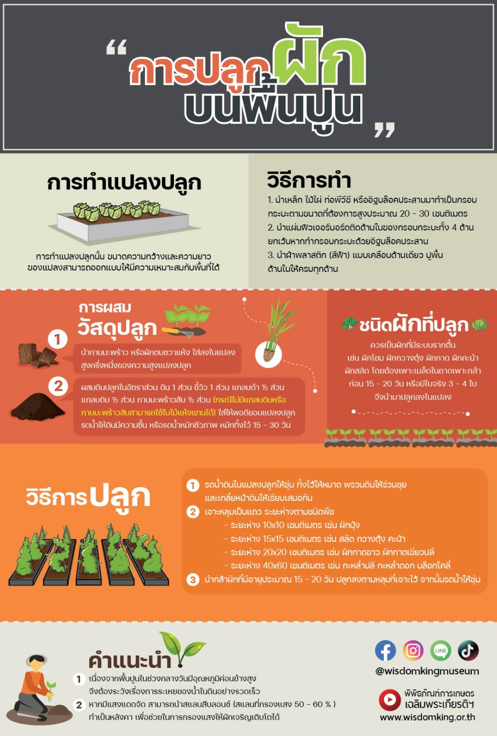 การปลูกผักบนพื้นปูน