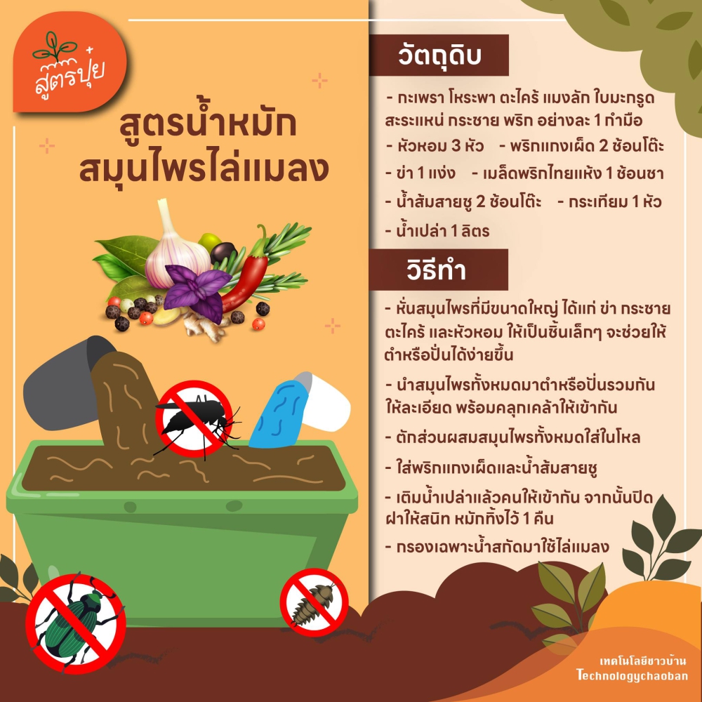 สูตรน้ำหมักสมุนไพรไล่แมลง