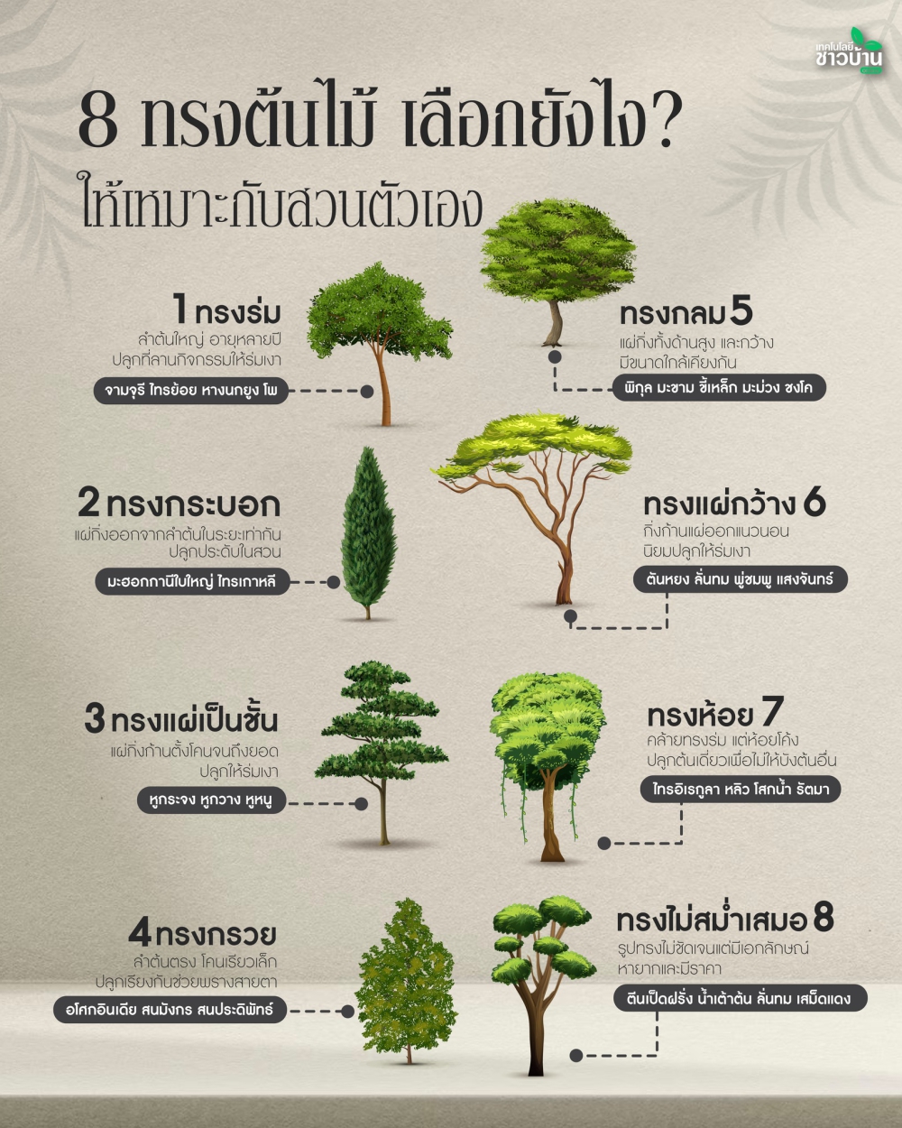8 ทรงต้นไม้ เลือกยังไงให้เหมาะกับสวนตัวเอง