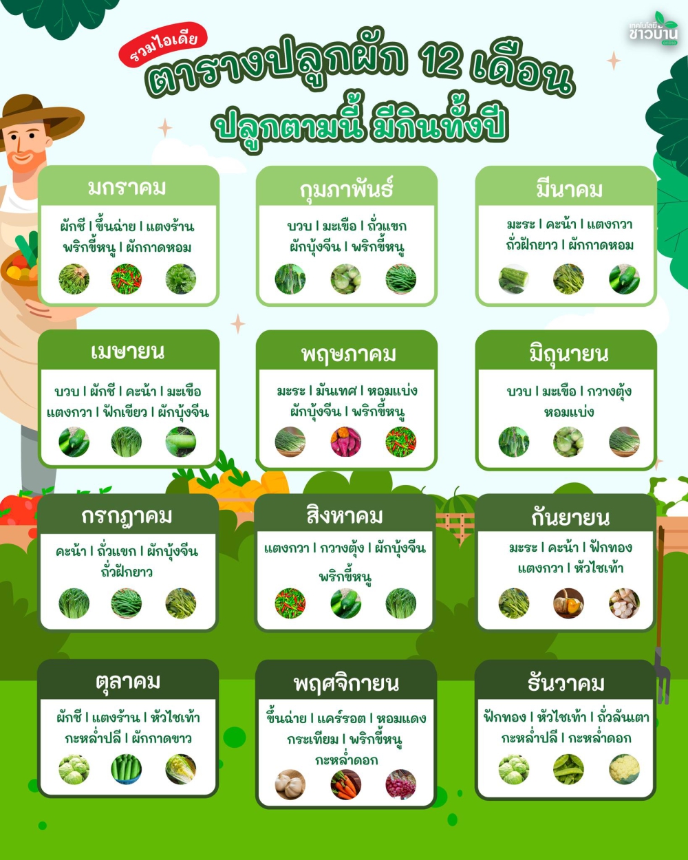 ตารางปลูกผัก 12 เดือน