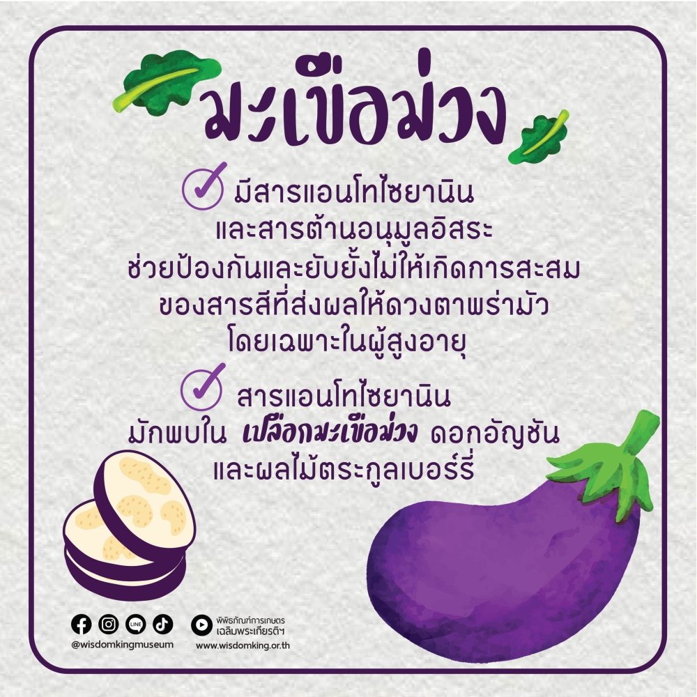 มะเขือม่วง