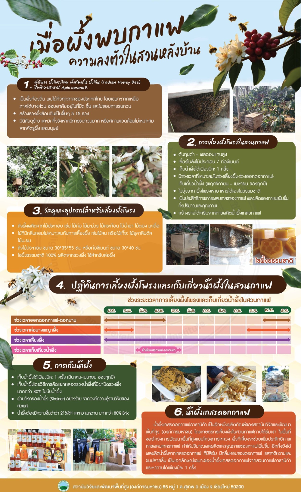 เมื่อผึ้งพบกาแฟ ความลงตัวในสวนหลังบ้าน