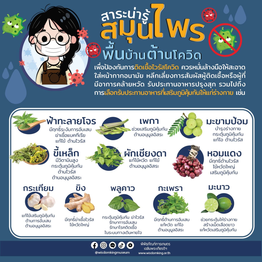 สาระน่ารู้ สมุนไพรพื้นบ้าน ต้านโควิด