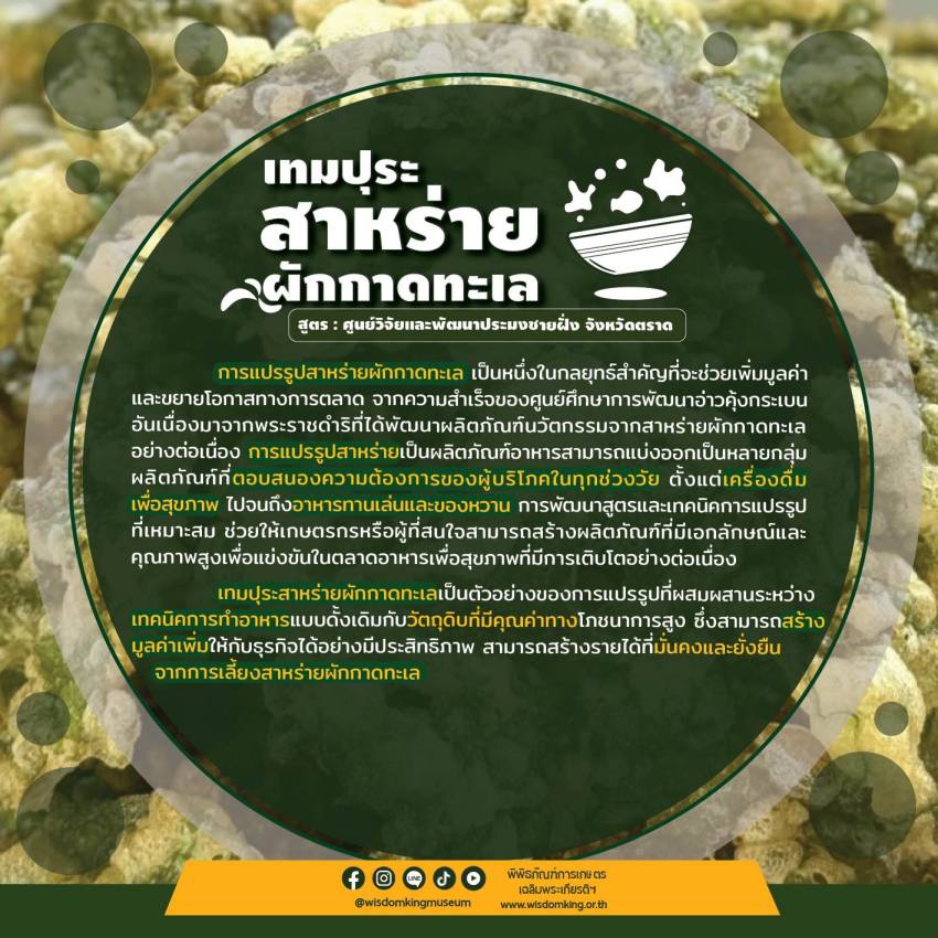 เทมปุระสาหร่ายผักกาดทะเล