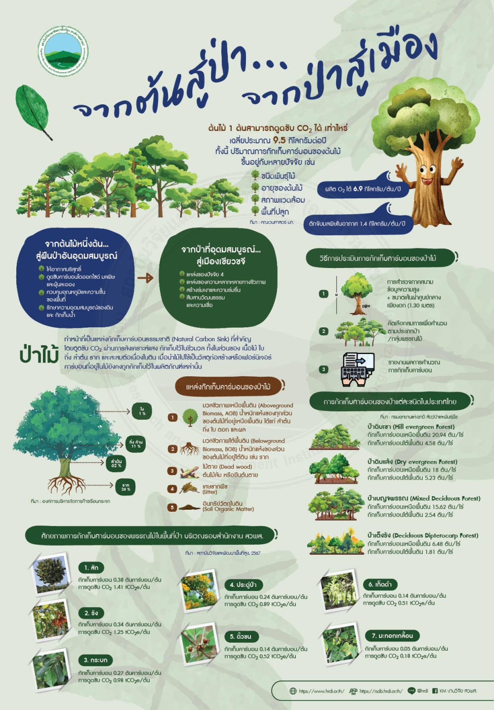 จาก ต้น สู่ ป่า... จาก ป่า สู่ เมือง