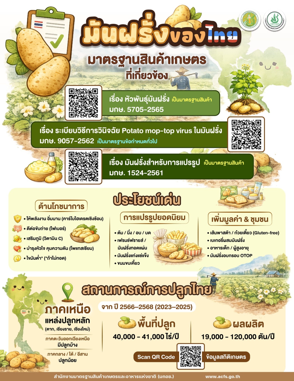 มันฝรั่งไทย