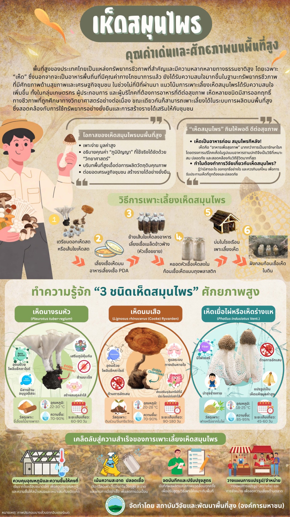 เห็ดสมุนไพร คุณค่าเด่นและศักยภาพบนพื้นที่สูง