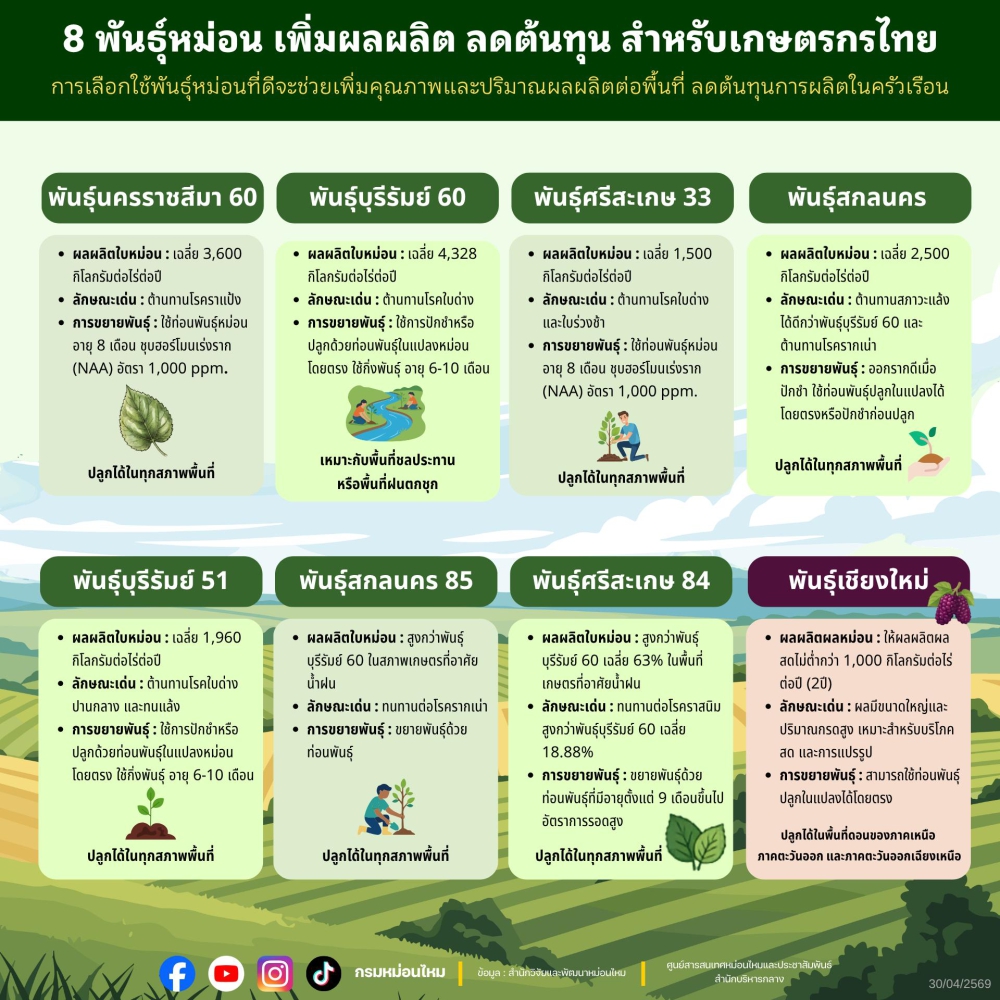 8พันธุ์หม่อนคุณภาพ