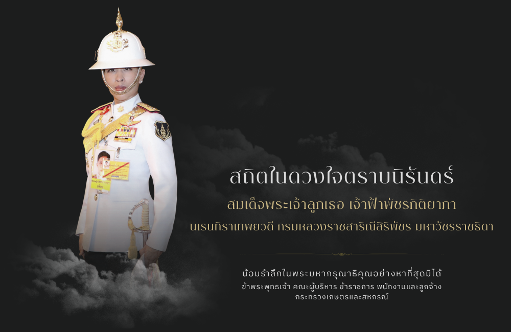 สมเด็จพระเจ้าลูกเธอ เจ้าฟ้าพัชรกิติยาภา สิ้นพระชนม์