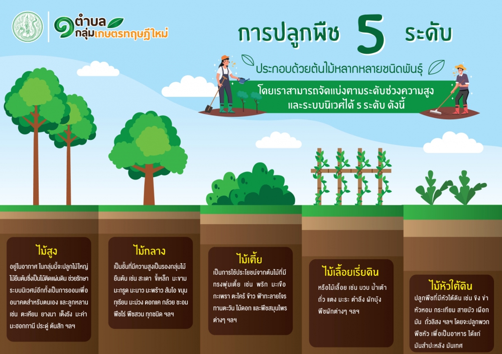 การปลูกพืช 5 ระดับ