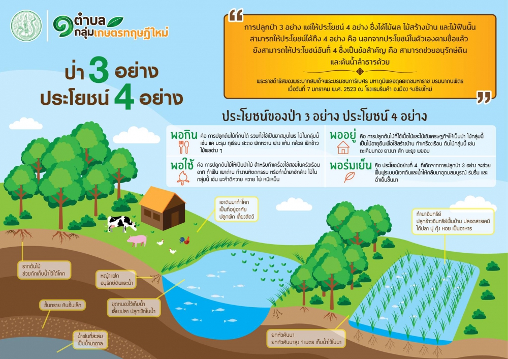 ป่า 3 อย่าง ประโยชน์ 4 อย่าง
