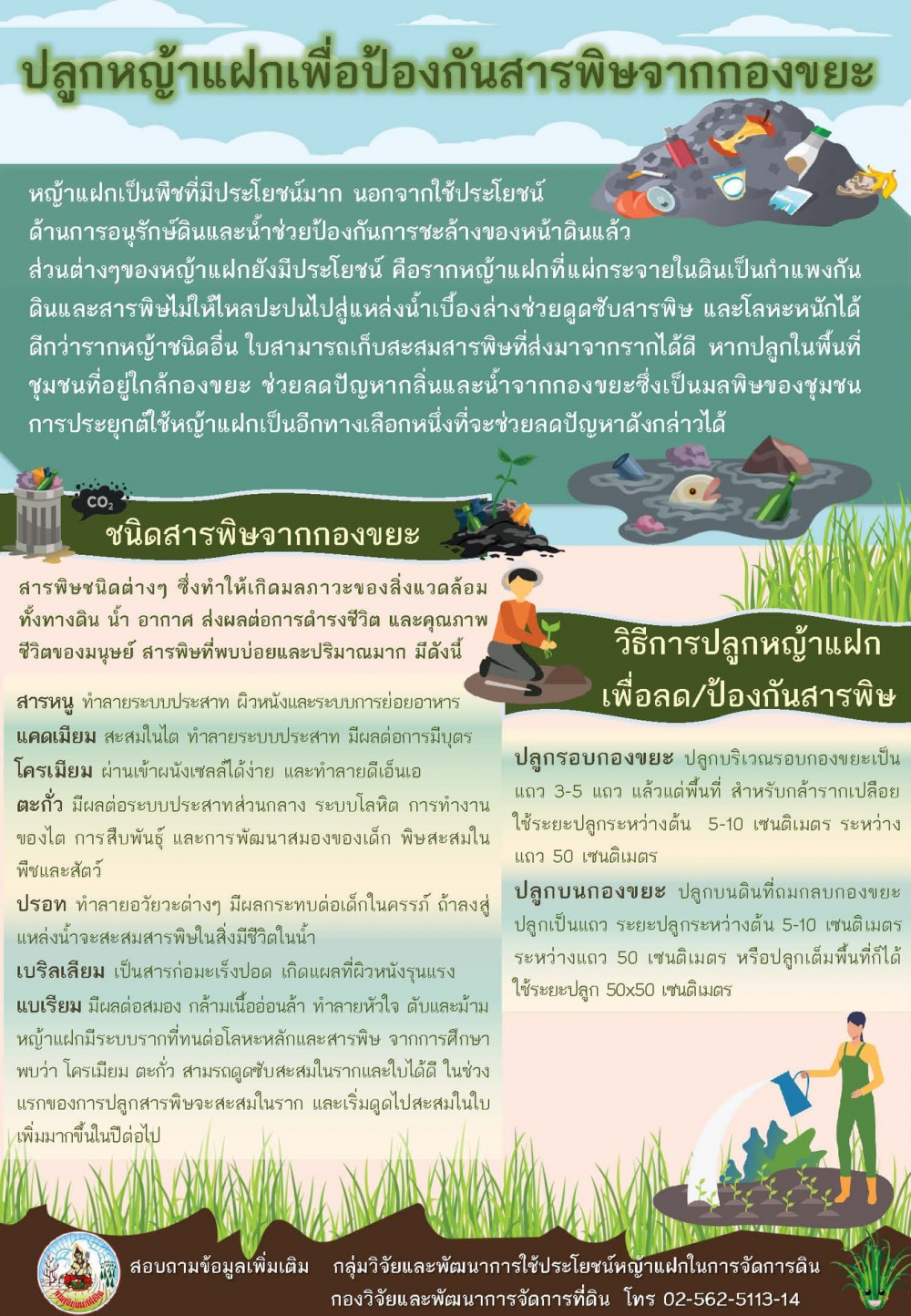 ปลูกหญ้าแฝกเพื่อป้องกันสารพิษจากกองขยะ