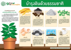 การบำรุงดินด้วยธรรมชาติ