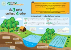 ป่า 3 อย่าง ประโยชน์ 4 อย่าง