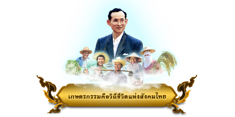 เกษตรกรรมคือวิถีชีวิตแห่งสังคมไทย