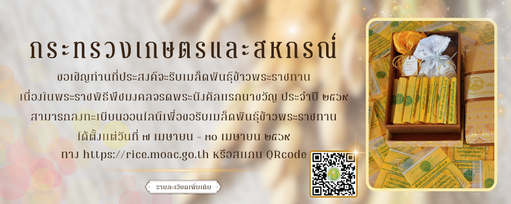 เมล็ดพันธ์ข้าว 2569