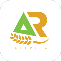all rice