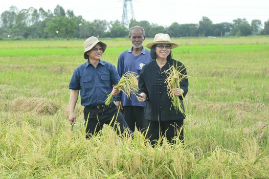 รัฐมนตรีช่วยฯ“ชุติมา”ติดตามผลการดำเนินงานการทำนาคุณภาพแบบประณีต