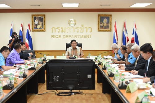 กระทรวงเกษตรฯกำหนดแผนการผลิตข้าว