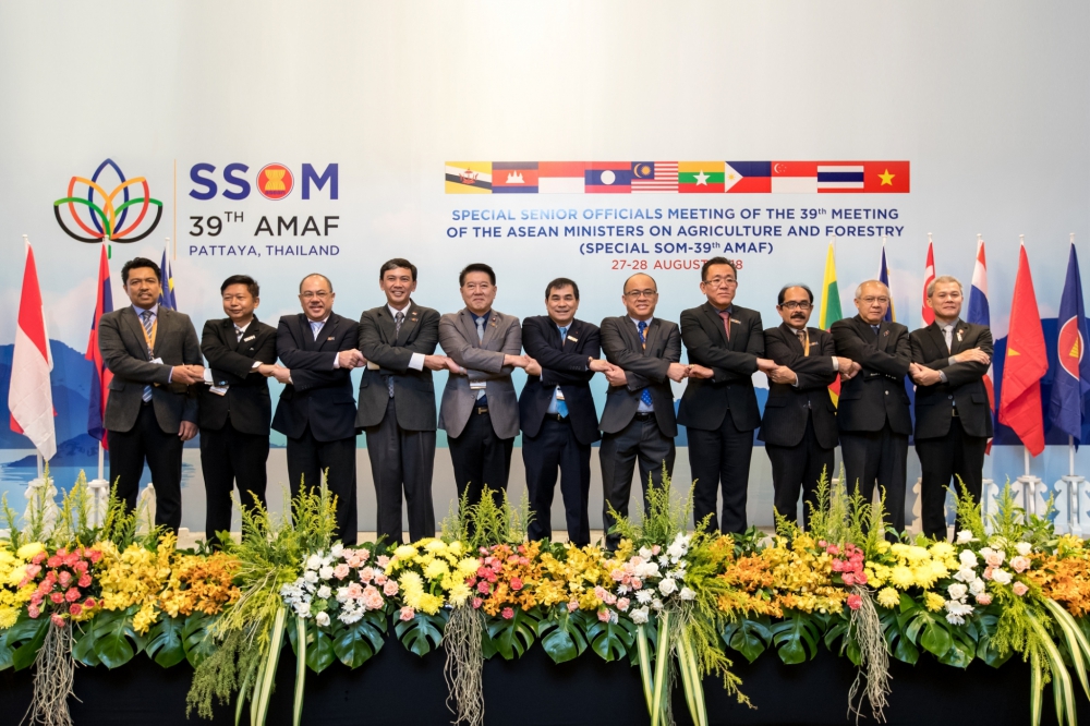 ไทยเป็นเจ้าภาพจัดประชุม