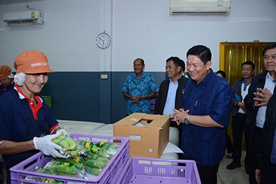 กระทรวงเกษตรฯ ส่งเสริมการเกษตรแบบแปลงใหญ่