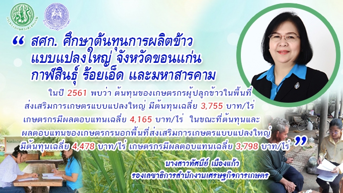 เปิดผลศึกษาการผลิตข้าวแปลงใหญ่