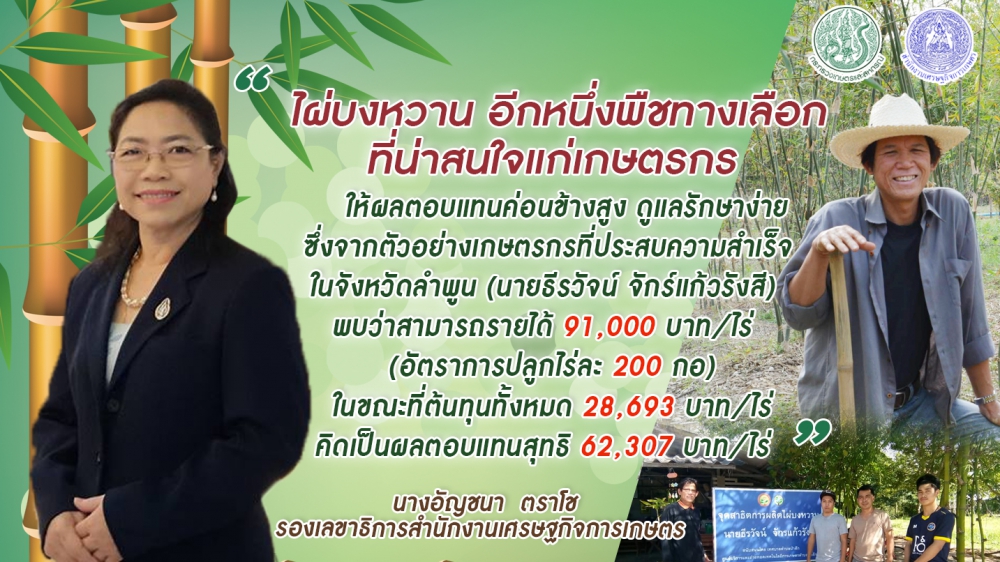 ไผ่บงหวานพืชทางเลือกที่น่าจับตา