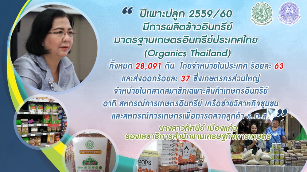ทิศทางตลาดข้าวอินทรีย์ไทยสดใส
