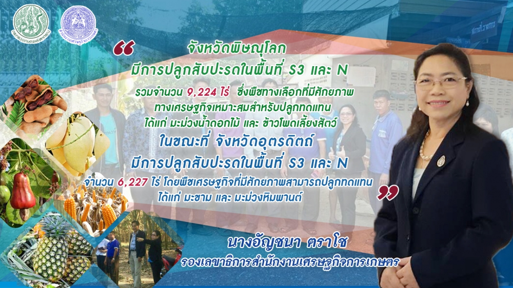 เปิดตัวพืชทางเลือกแทนสับปะรดพื้นที่พิษณุโลก-อุตรดิตถ์