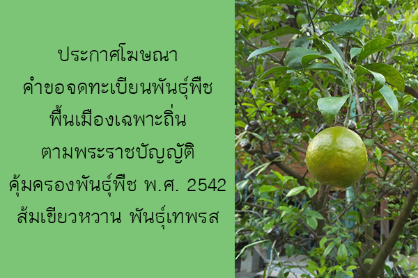 ประกาศคณะกรรมการการคุ้มครองพันธุ์พืช