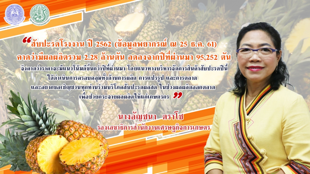 สศก.คาดสับปะรดปีนี้ให้ผลผลิต2.28ล้านตัน