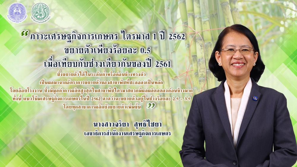 จีดีพีเกษตรQ1ทรงตัวขยาย0.5%เหตุอ้อยผลผลิตลดลงมาก