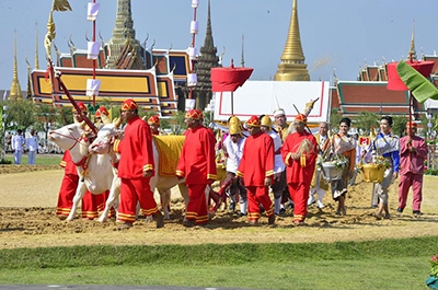 กระทรวงเกษตรฯเตรียมการจัดงานพระราชพิธีพืชมงคลจรดพระนังคัลแรกนาขวัญ