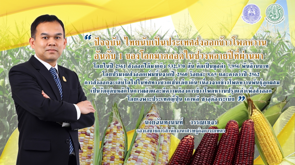 ส่งออกข้าวโพดหวานทิศทางสดใส