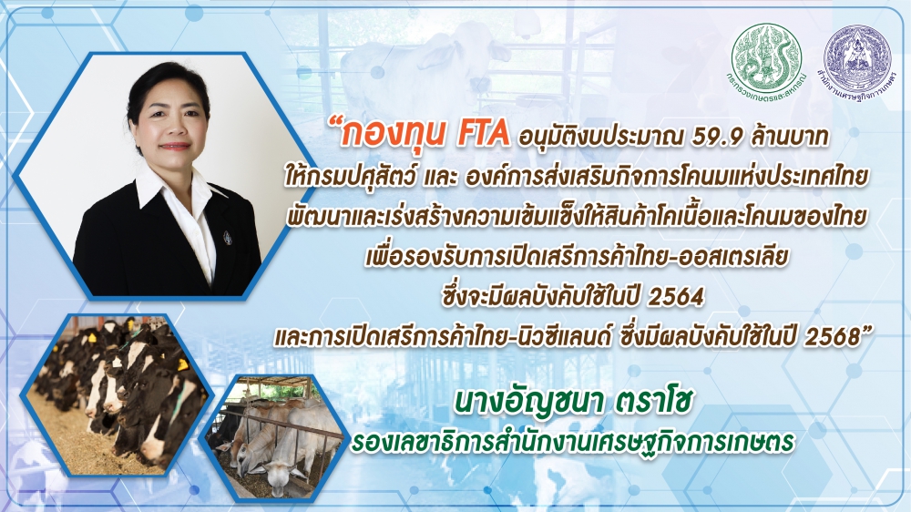 กองทุนFTAไฟเขียว59.9ล้านบาทพัฒนาโคเนื้อ-โคนม