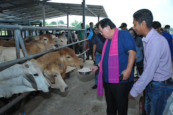 รัฐมนตรีเกษตรฯ  ลุยให้กำลังใจกลุ่มขุนโค จ.โคราช